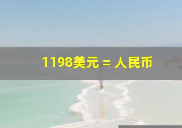 1198美元 = 人民币